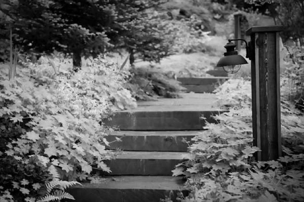The Fern Lodge Chestertown Exterior foto