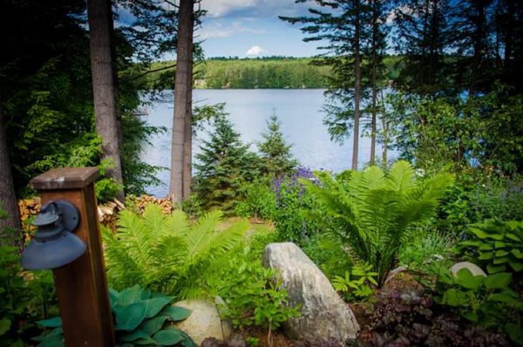 The Fern Lodge Chestertown Exterior foto